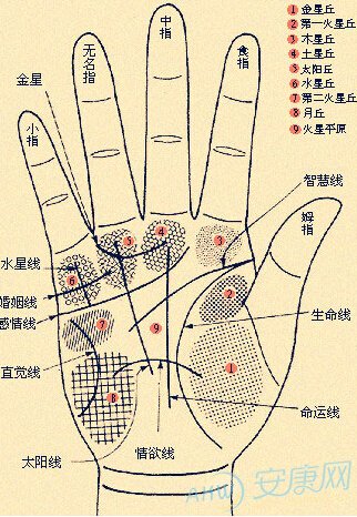 男人手相算命图解_手相面相_手相面相大全